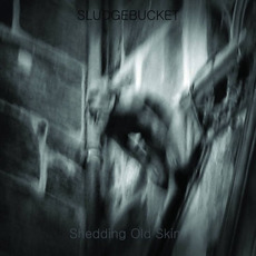 Shedding Old Skin mp3 Album by Sludgebucket
