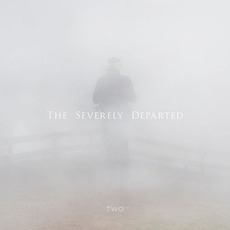 Two mp3 Album by The Severely Departed