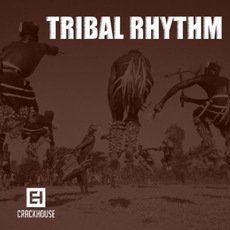 Tribal Rhythm mp3 Compilation by Various Artists