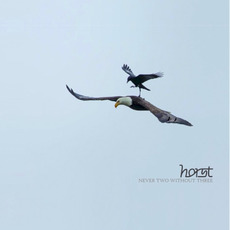 Never Two Without Three mp3 Album by Horst