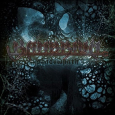 Shadowpath mp3 Album by Kambrium