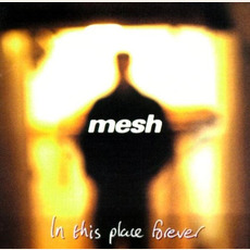 In This Place Forever mp3 Album by Mesh