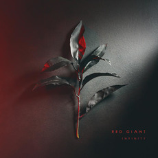 Infinity mp3 Album by Red Giant