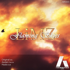 Flaming Skies mp3 Single by LiMZ