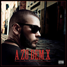 A Zu Dem X mp3 Album by King AMX
