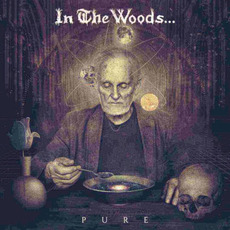 Pure mp3 Album by In The Woods...