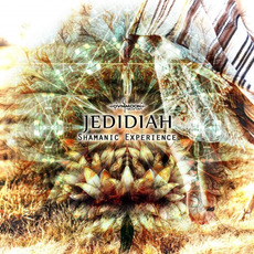 Shamanic Experience mp3 Album by Jedidiah