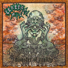 Disaster Of Reality mp3 Album by Cerebral Fix