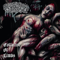 Collector Of Limbs mp3 Album by Severed Limbs