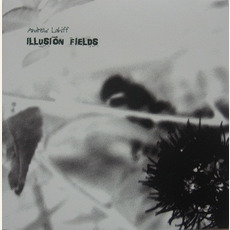 Illusion Fields mp3 Album by Andrew Lahiff