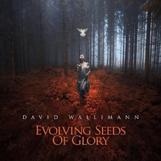 Evolving Seeds Of Glory mp3 Album by David Wallimann