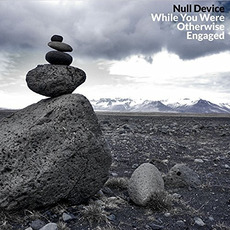 While You Were Otherwise Engaged mp3 Album by Null Device