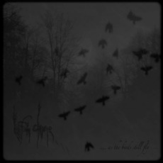 ... as the birds still fly... mp3 Album by Left alone...