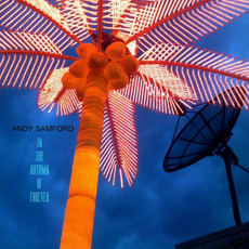 In The Autumn Of Forever mp3 Album by Andy Samford