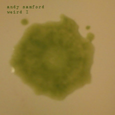 Weird I mp3 Album by Andy Samford
