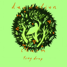 Tiny Drop mp3 Album by Dandelion Charm