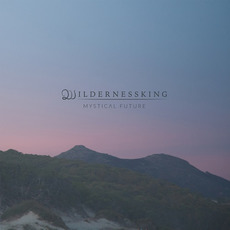 Mystical Future mp3 Album by Wildernessking