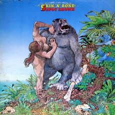 Skin 'n' Bone mp3 Album by Savoy Brown