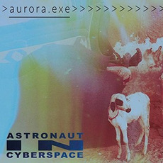 aurora.exe mp3 Album by Astronaut In Cyberspace