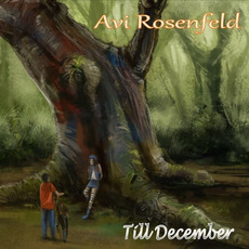 Till December mp3 Album by Avi Rosenfeld