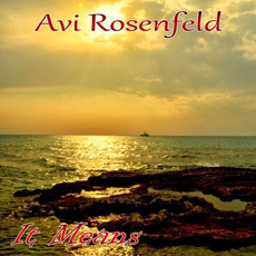 It Means mp3 Album by Avi Rosenfeld