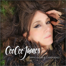 Stripped Down & Surrendered mp3 Album by Cee Cee James