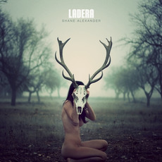 Ladera mp3 Album by Shane Alexander