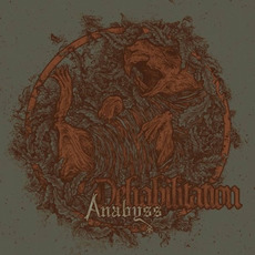 Dehabilitation mp3 Album by Anabyss
