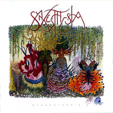 Synaesthesia mp3 Album by Synaesthesia