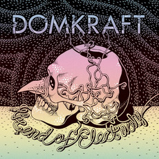 The End of Electricity mp3 Album by Domkraft