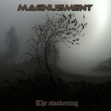 The Awakening mp3 Album by Magnusment