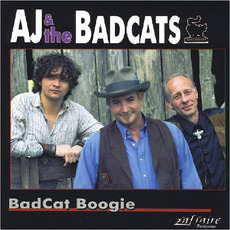 Badcat Boogie mp3 Album by AJ & The Badcats