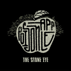 Poison Apple mp3 Album by The Stone Eye