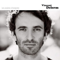 Les Piqûres d'araignée mp3 Album by Vincent Delerm