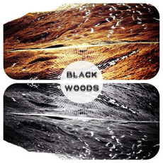 The Strange Crow mp3 Album by Black Woods