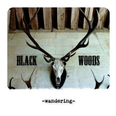 Wandering mp3 Album by Black Woods