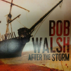 After the Storm mp3 Album by Bob Walsh