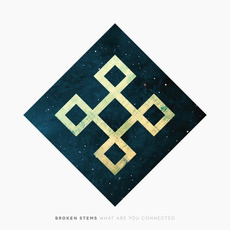 What Are You Connected mp3 Album by Broken Stems