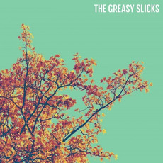 The Greasy Slicks mp3 Album by The Greasy Slicks