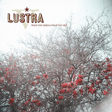 What You Need & What You Get mp3 Album by Lustra