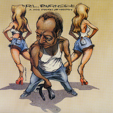 A Ass Pocket of Whiskey mp3 Album by R.L. Burnside
