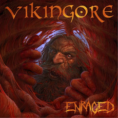 Enraged mp3 Album by Vikingore