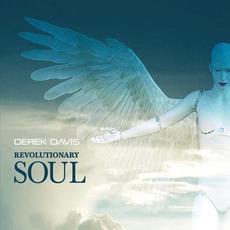 Revolutionary Soul mp3 Album by Derek Davis