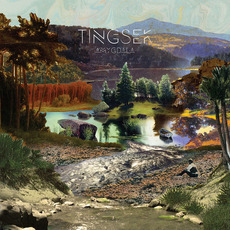 Amygdala mp3 Album by Tingsek