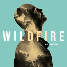 Wildfire mp3 Album by Niels Geusebroek