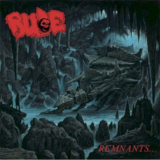 Remnants... mp3 Album by Rude