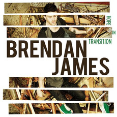 Hope in Transition mp3 Album by Brendan James