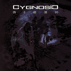 Risen mp3 Remix by CygnosiC