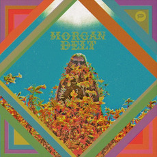Morgan Delt mp3 Album by Morgan Delt