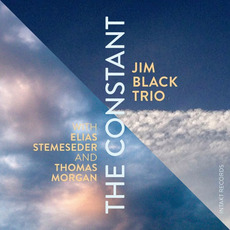 The Constant mp3 Album by Jim Black Trio